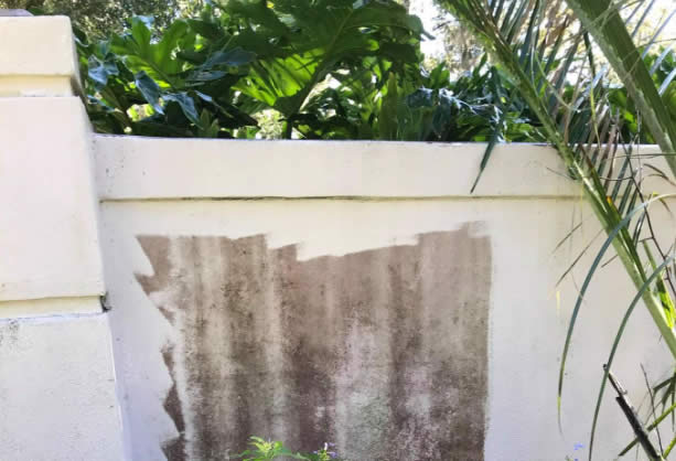 Softwashing a fence example work in progress