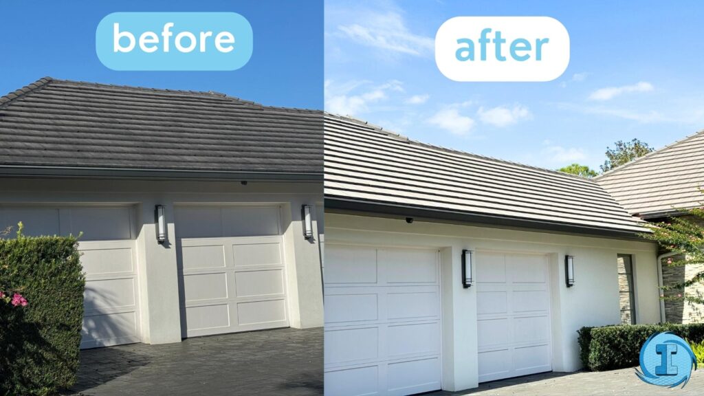 What Are Some of the Lesser-Known Side Effects of Mold on Roofs in Florida?