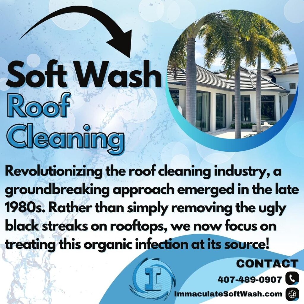 Why Should Spring Cleaning Include Your Roof?