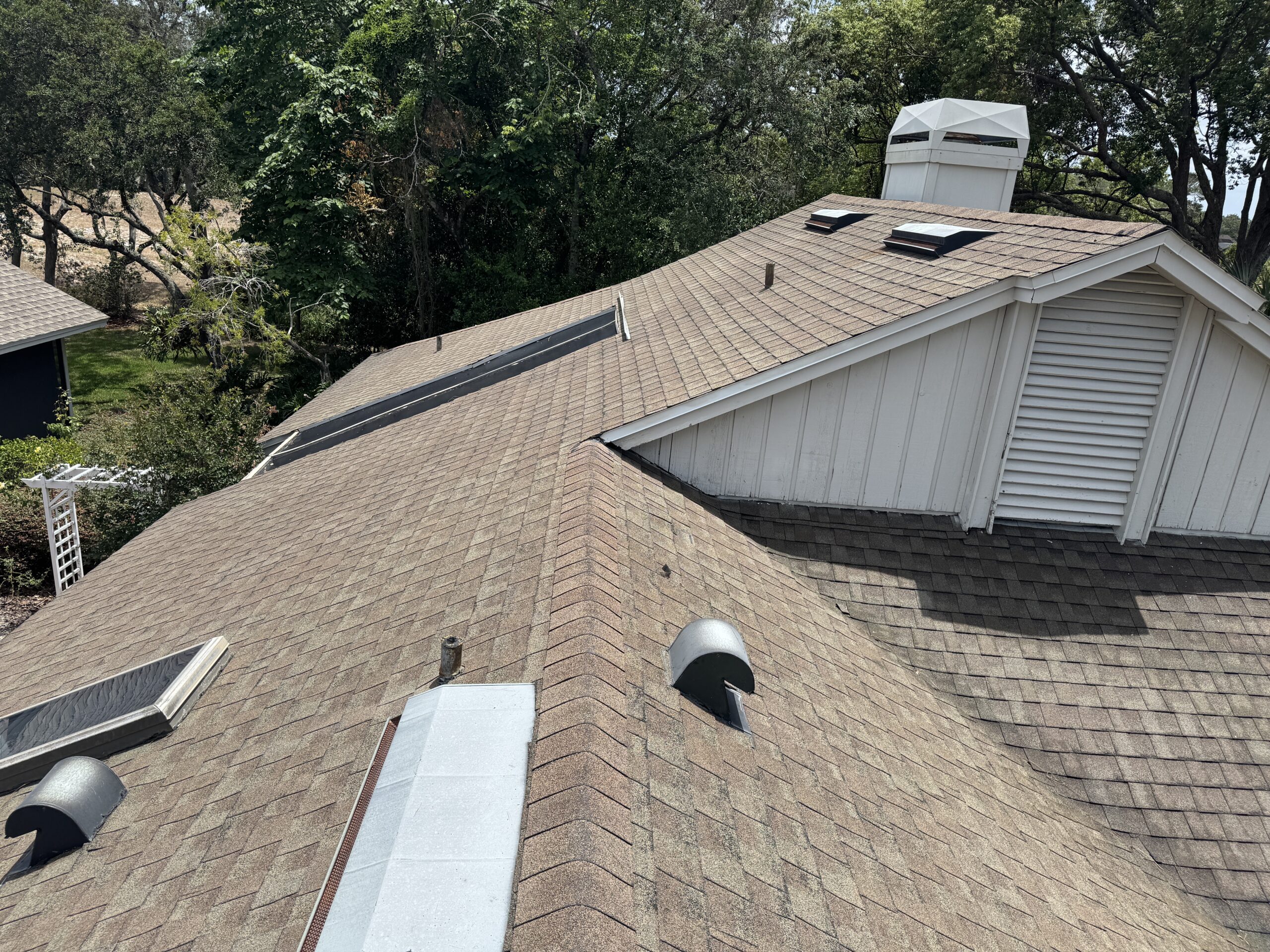 Why Is Summer Roof Cleaning Important?