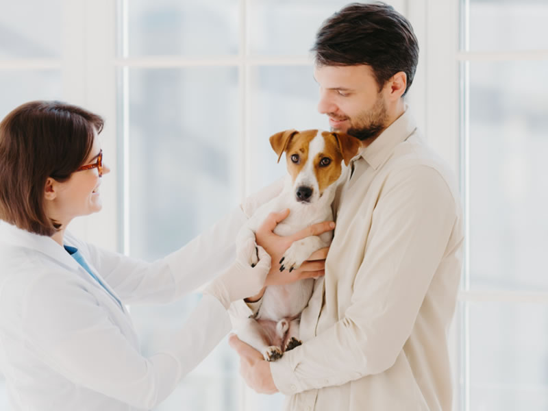 the significance of cleaning in the veterinary industry
