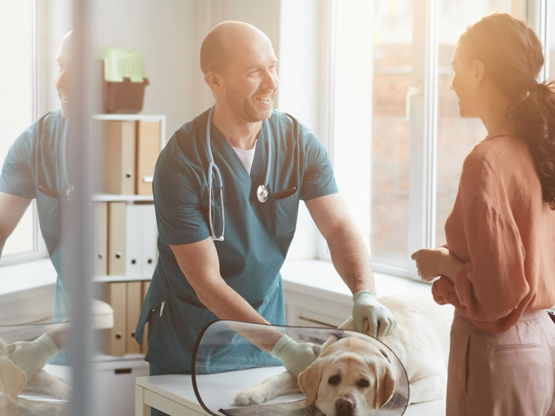 Immaculate Softwash is your partner in maintaining a pristine vet clinic