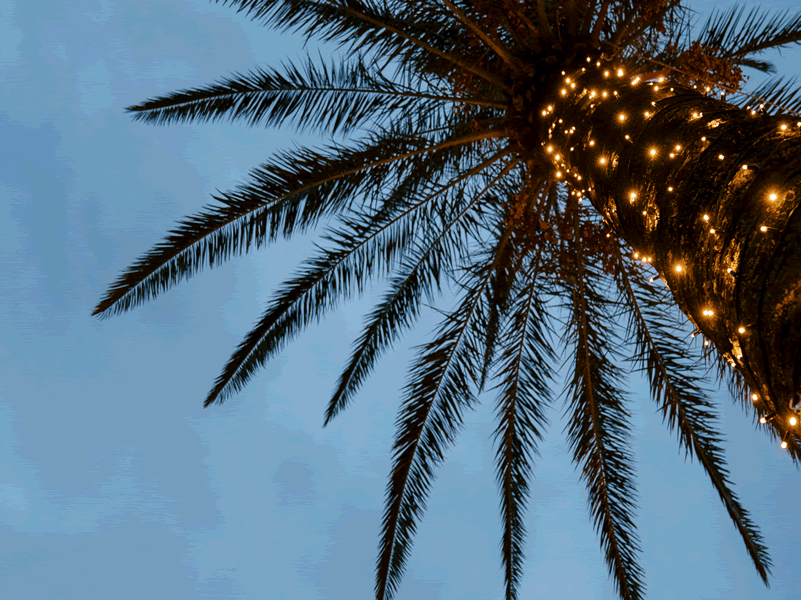 free christmas lights removal