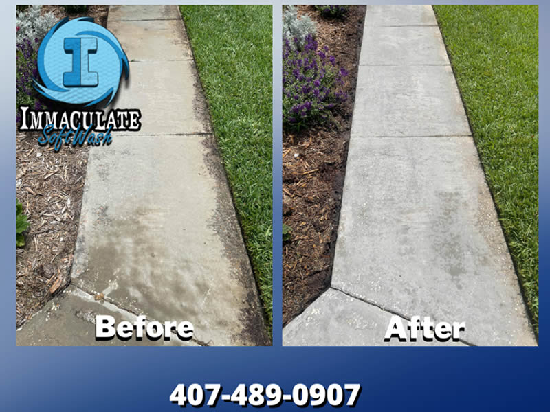 The Ultimate Guide to Immaculate Soft Washing. Before and After image