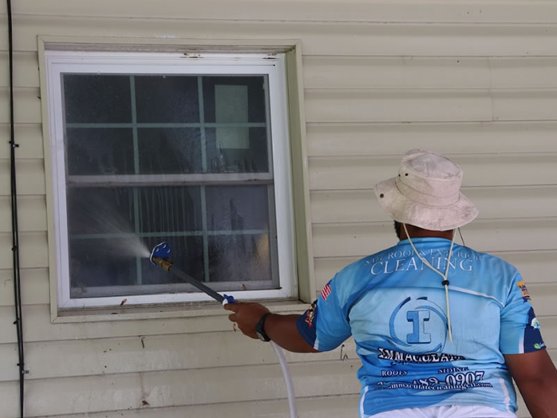 Window Cleaning and Soft washing